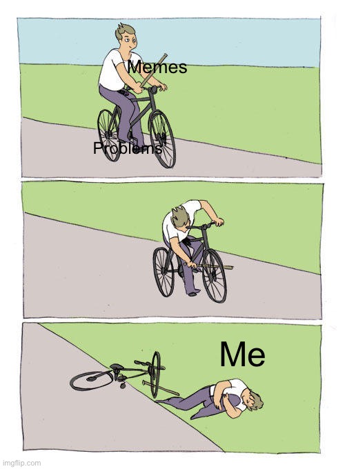 When it doesn’t work | Memes; Problems; Me | image tagged in memes,bike fall | made w/ Imgflip meme maker