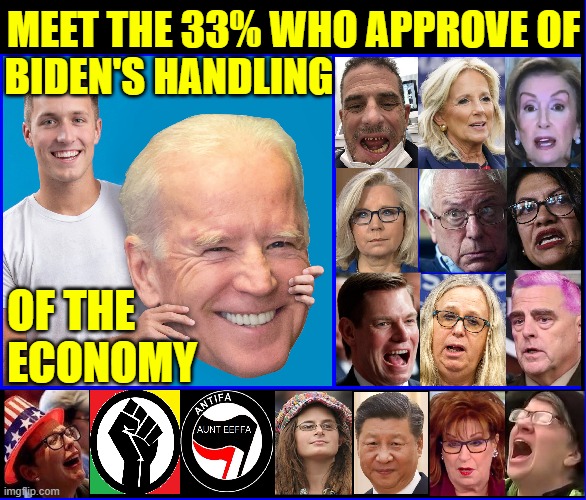 Please, excuse me if I left out your favorite Libtard |  BIDEN'S HANDLING; MEET THE 33% WHO APPROVE OF; OF THE       
ECONOMY | image tagged in vince vance,college liberal,the view,president xi,blm,antifa | made w/ Imgflip meme maker