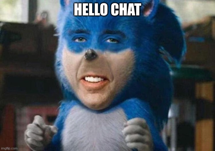 sonicholas cage | HELLO CHAT | image tagged in sonicholas cage | made w/ Imgflip meme maker