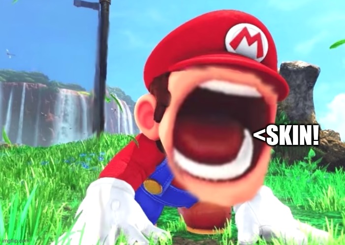 Mario screaming | <SKIN! | image tagged in mario screaming | made w/ Imgflip meme maker