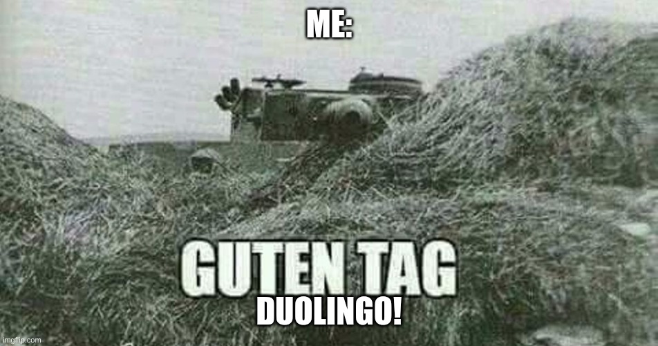 ME: DUOLINGO! | image tagged in german guten tag tiger | made w/ Imgflip meme maker