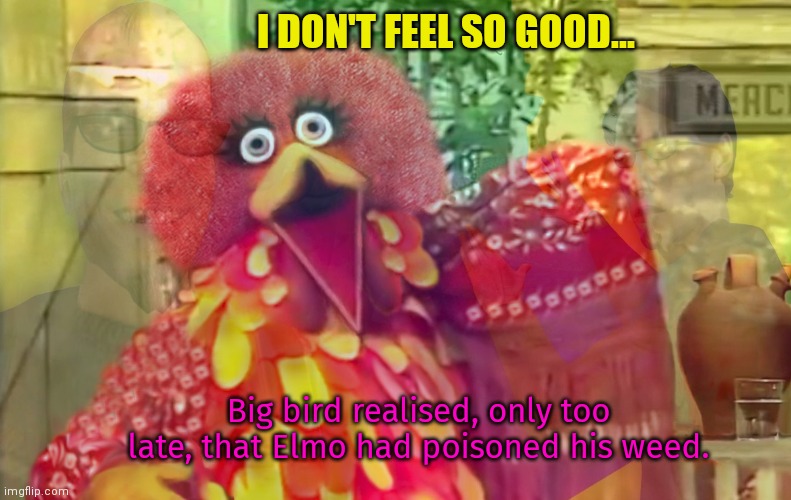 The bad pillz are kicking in... | I DON'T FEEL SO GOOD... Big bird realised, only too late, that Elmo had poisoned his weed. | image tagged in bad pillz,big bird,sesame street,drugs are bad,poison | made w/ Imgflip meme maker