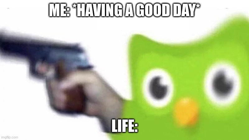 *Screaming while running away from a wasp* |  ME: *HAVING A GOOD DAY*; LIFE: | image tagged in duolingo gun | made w/ Imgflip meme maker