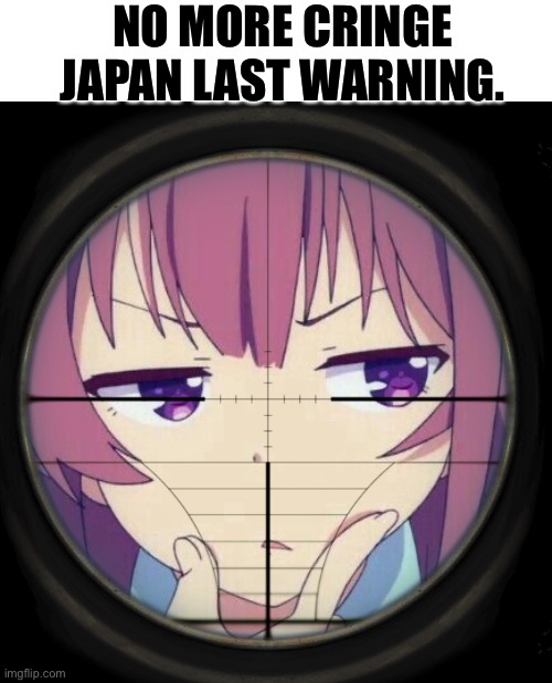 NO MORE CRINGE JAPAN LAST WARNING. | image tagged in barrett scope reticle | made w/ Imgflip meme maker
