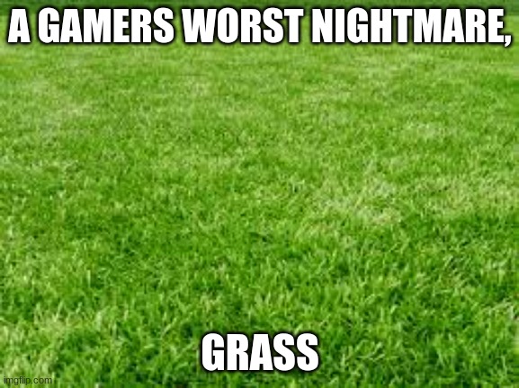 GRASS | A GAMERS WORST NIGHTMARE, GRASS | image tagged in grass | made w/ Imgflip meme maker