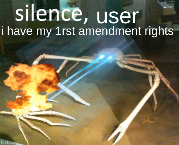 Silence Crab | user i have my 1rst amendment rights | image tagged in silence crab | made w/ Imgflip meme maker