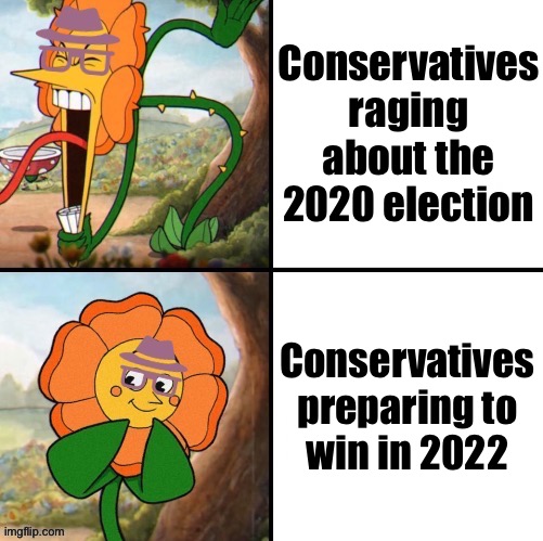 Get ready, Democrats! #RedWave #ElectionIntegrity #AcceptTheResults | Conservatives raging about the 2020 election; Conservatives preparing to win in 2022 | image tagged in incognitoguy flower,2022,2020 elections,voter fraud,election fraud,elections | made w/ Imgflip meme maker