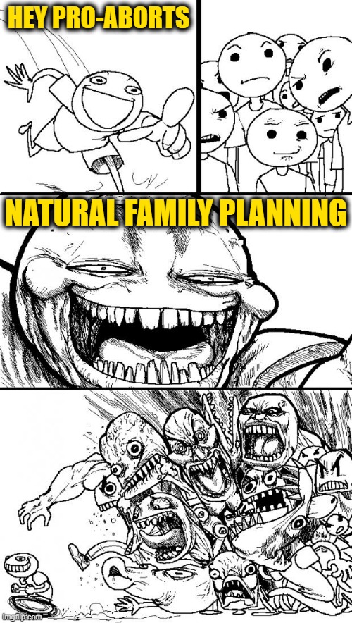 Hey Internet Meme | HEY PRO-ABORTS; NATURAL FAMILY PLANNING | image tagged in memes,hey internet | made w/ Imgflip meme maker