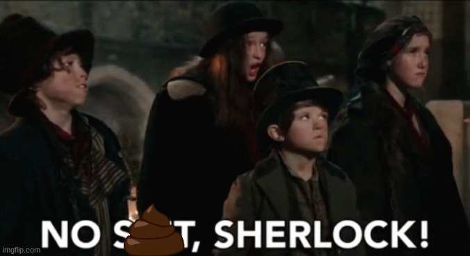 No shit sherlock | image tagged in no shit sherlock | made w/ Imgflip meme maker