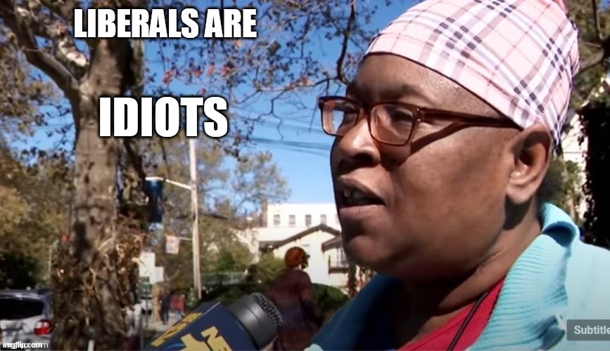 Idiots | LIBERALS ARE | image tagged in idiots | made w/ Imgflip meme maker