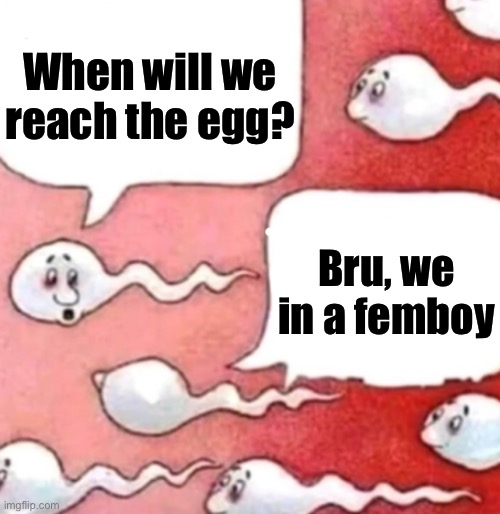 Sperm conversation | When will we reach the egg? Bru, we in a femboy | image tagged in sperm conversation | made w/ Imgflip meme maker