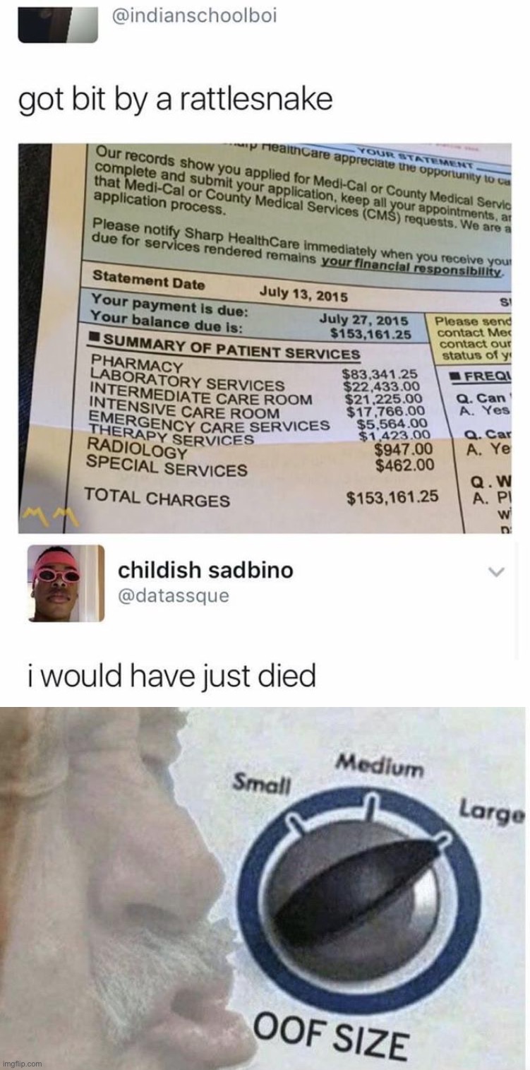 I mean, when I broke my leg last year my parents got a $100,000 bill *takes out gun/puts to head :)* | image tagged in oof size large,memes,funny | made w/ Imgflip meme maker