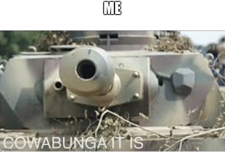 Panzer cowabunga it is | ME | image tagged in panzer cowabunga it is | made w/ Imgflip meme maker