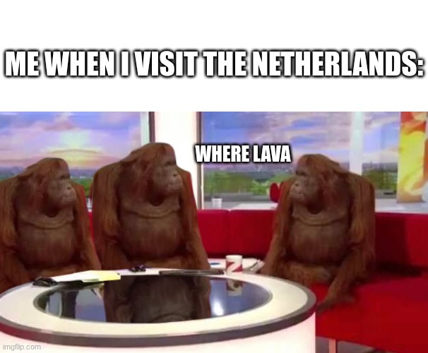 lol |  ME WHEN I VISIT THE NETHERLANDS:; WHERE LAVA | image tagged in where monkey,netherlands,nether,minecraft,lava | made w/ Imgflip meme maker
