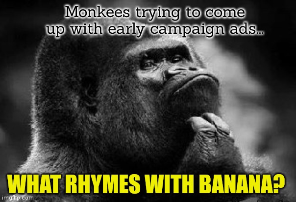 Midterms? | Monkees trying to come up with early campaign ads... WHAT RHYMES WITH BANANA? | image tagged in thinking monkey,midterms,monkey,where banana | made w/ Imgflip meme maker