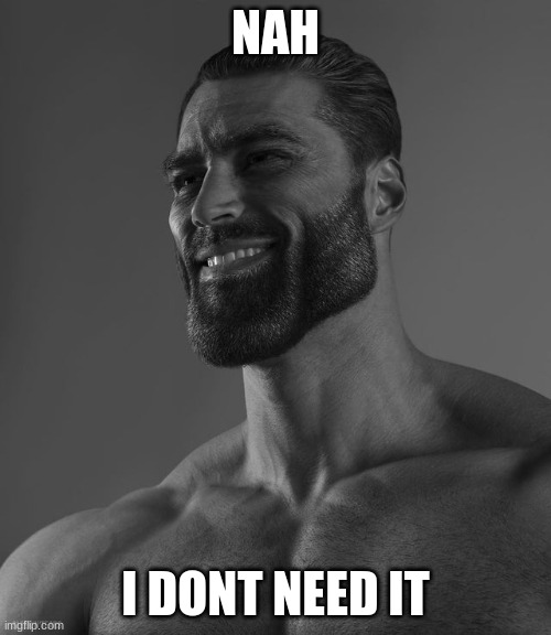 Giga Chad | NAH; I DONT NEED IT | image tagged in giga chad | made w/ Imgflip meme maker