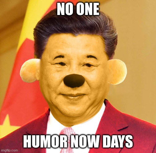 XinPing The Pooh | NO ONE; HUMOR NOW DAYS | image tagged in xinping the pooh | made w/ Imgflip meme maker