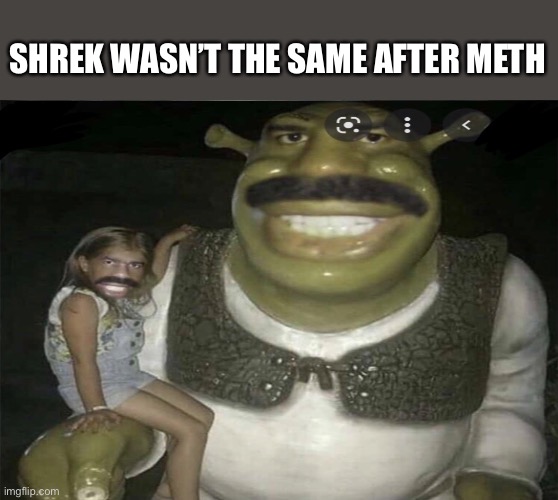 Shrek wasn’t the same after meth | SHREK WASN’T THE SAME AFTER METH | image tagged in memes,shrek,cursed image,mustache | made w/ Imgflip meme maker