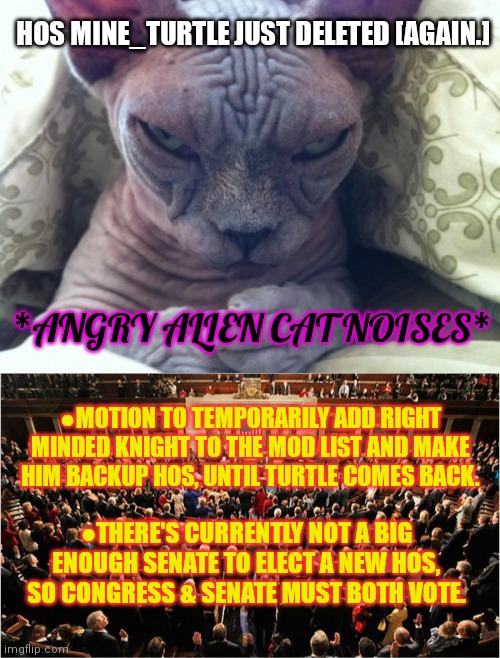 Congrees & Senate must vote | HOS MINE_TURTLE JUST DELETED [AGAIN.]; *ANGRY ALIEN CAT NOISES*; ●MOTION TO TEMPORARILY ADD RIGHT MINDED KNIGHT TO THE MOD LIST AND MAKE HIM BACKUP HOS, UNTIL TURTLE COMES BACK. ●THERE'S CURRENTLY NOT A BIG ENOUGH SENATE TO ELECT A NEW HOS, SO CONGRESS & SENATE MUST BOTH VOTE. | image tagged in congress,senate,i am the senate,right minded knight,why did you delete,mine turtle | made w/ Imgflip meme maker