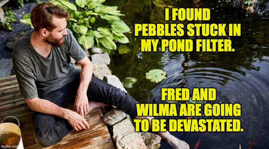 Pebbles | I FOUND PEBBLES STUCK IN MY POND FILTER. FRED AND WILMA ARE GOING TO BE DEVASTATED. | image tagged in bad pun | made w/ Imgflip meme maker