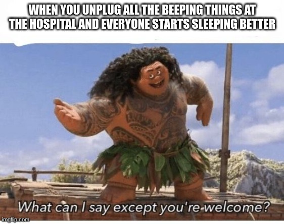 WhAt |  WHEN YOU UNPLUG ALL THE BEEPING THINGS AT THE HOSPITAL AND EVERYONE STARTS SLEEPING BETTER | image tagged in what can i say except you're welcome | made w/ Imgflip meme maker