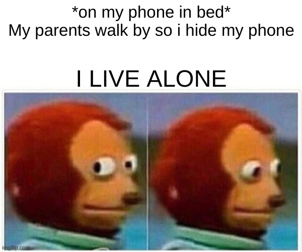 Monkey Puppet Meme | *on my phone in bed*

My parents walk by so i hide my phone; I LIVE ALONE | image tagged in memes,monkey puppet | made w/ Imgflip meme maker