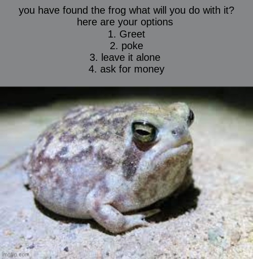 What will you choose? | you have found the frog what will you do with it?
here are your options 
1. Greet
2. poke
3. leave it alone 
4. ask for money | image tagged in roleplaying,frog | made w/ Imgflip meme maker