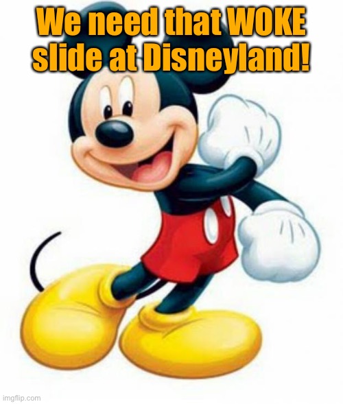 mickey mouse  | We need that WOKE slide at Disneyland! | image tagged in mickey mouse | made w/ Imgflip meme maker
