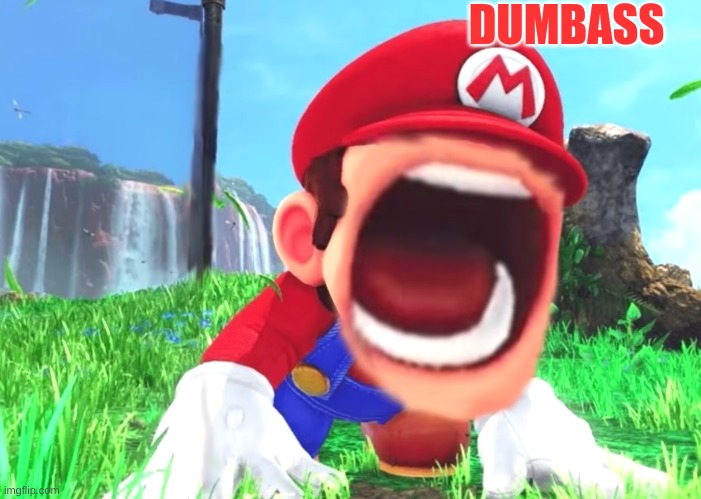 Mario screaming | DUMBASS | image tagged in mario screaming | made w/ Imgflip meme maker
