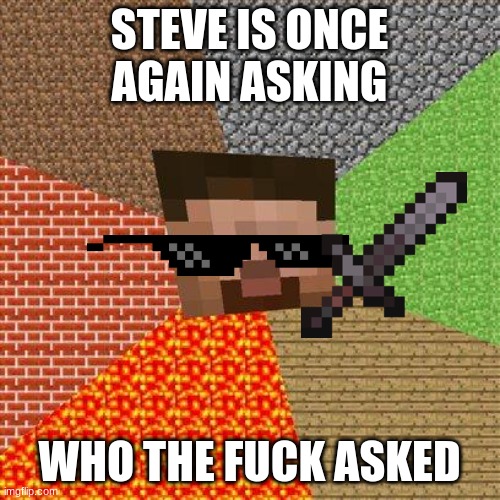 Minecraft Steve | STEVE IS ONCE AGAIN ASKING WHO THE FUCK ASKED | image tagged in minecraft steve | made w/ Imgflip meme maker