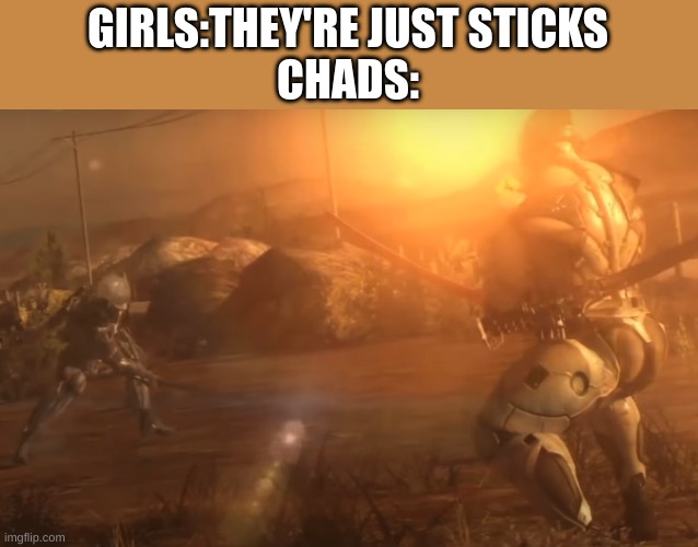 Nostalgia at it's finest | GIRLS:THEY'RE JUST STICKS
CHADS: | image tagged in metal gear raiden versus jetstream sam | made w/ Imgflip meme maker