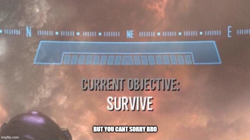 Current Objective: Survive | BUT YOU CANT SORRY BRO | image tagged in current objective survive | made w/ Imgflip meme maker