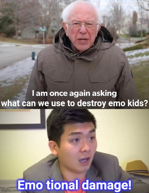 what can we use to destroy emo kids? Emo tional damage! | image tagged in memes,bernie i am once again asking for your support,emotional damage | made w/ Imgflip meme maker