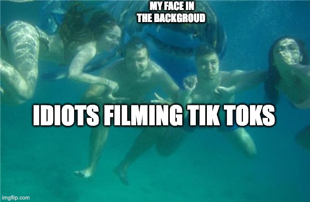Tik tokers are idiots (obvious but still) | MY FACE IN THE BACKGROUD; IDIOTS FILMING TIK TOKS | image tagged in shark photobomb,antitiktok | made w/ Imgflip meme maker