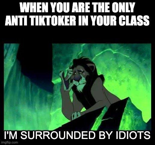 I am | WHEN YOU ARE THE ONLY ANTI TIKTOKER IN YOUR CLASS; I'M SURROUNDED BY IDIOTS | image tagged in i'm surrounded by idiots | made w/ Imgflip meme maker