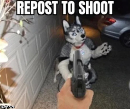 repost this | image tagged in repost | made w/ Imgflip meme maker