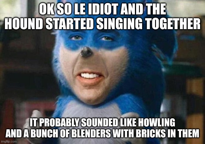 sonicholas cage | OK SO LE IDIOT AND THE HOUND STARTED SINGING TOGETHER; IT PROBABLY SOUNDED LIKE HOWLING AND A BUNCH OF BLENDERS WITH BRICKS IN THEM | image tagged in sonicholas cage | made w/ Imgflip meme maker