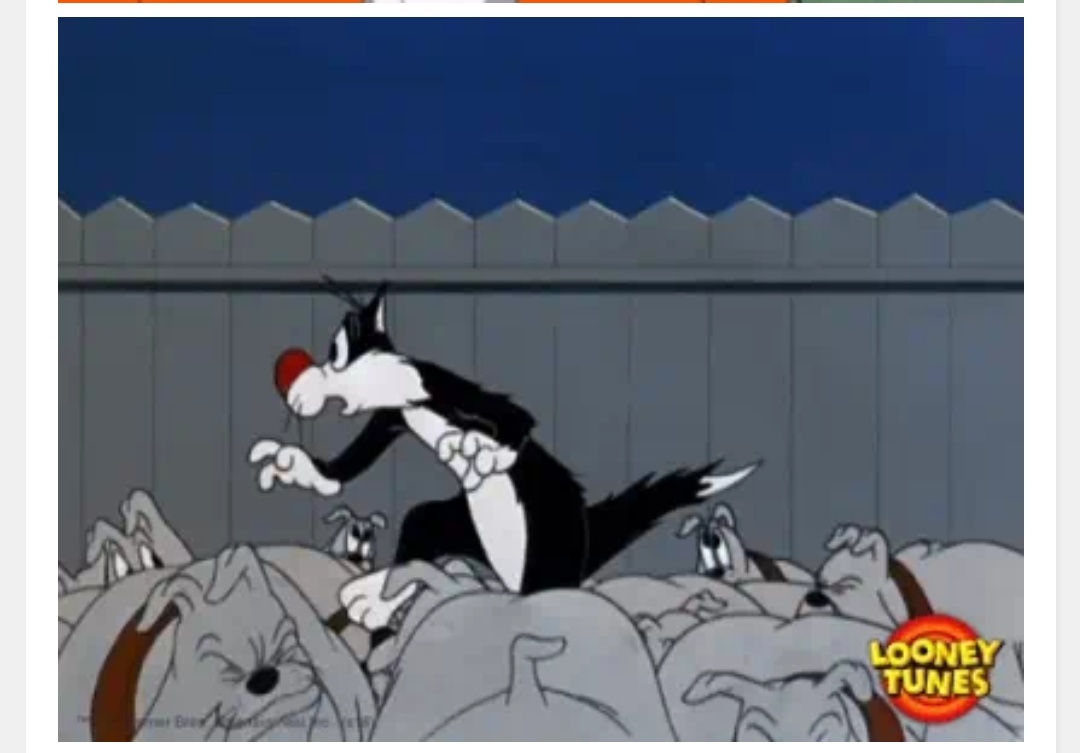 Sylvester cat Blank Meme Template