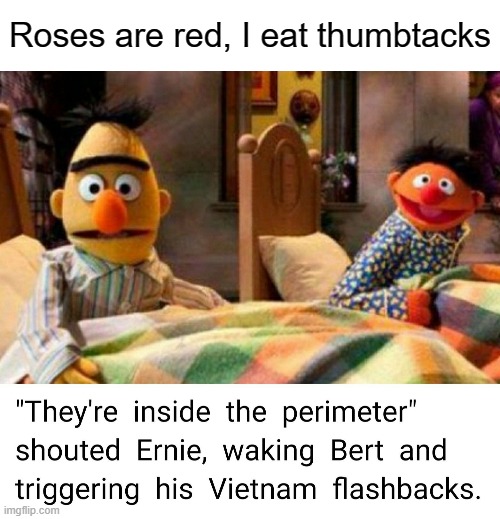 poor bert | Roses are red, I eat thumbtacks | image tagged in blank white template | made w/ Imgflip meme maker