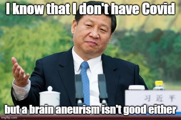 He is suffering from it and has been hospitalized for it. I don't see him being around for too much longer | I know that I don't have Covid; but a brain aneurism isn't good either | image tagged in xi jinping,archaic | made w/ Imgflip meme maker