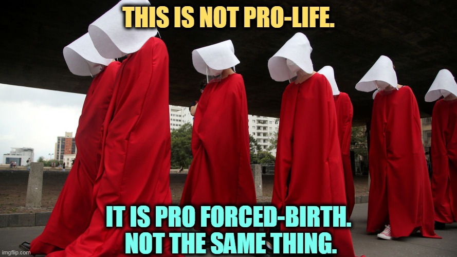  THIS IS NOT PRO-LIFE. IT IS PRO FORCED-BIRTH. 
NOT THE SAME THING. | image tagged in pro life,force,birth,women,slaves | made w/ Imgflip meme maker