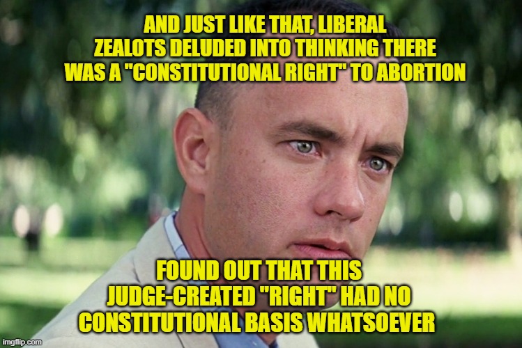 Abortion Supporters Discover There was no There There | AND JUST LIKE THAT, LIBERAL ZEALOTS DELUDED INTO THINKING THERE WAS A "CONSTITUTIONAL RIGHT" TO ABORTION; FOUND OUT THAT THIS JUDGE-CREATED "RIGHT" HAD NO CONSTITUTIONAL BASIS WHATSOEVER | image tagged in memes,and just like that,abortion,roe vs wade,supreme court,constitution | made w/ Imgflip meme maker