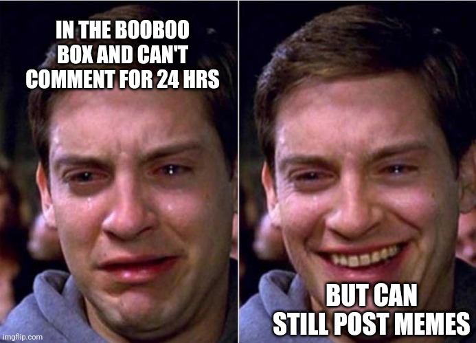 Peter Parker Sad Cry Happy cry | IN THE BOOBOO BOX AND CAN'T COMMENT FOR 24 HRS; BUT CAN STILL POST MEMES | image tagged in peter parker sad cry happy cry | made w/ Imgflip meme maker