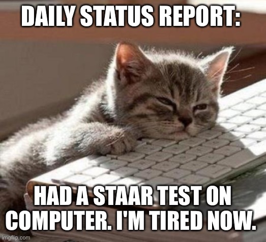 Today | DAILY STATUS REPORT:; HAD A STAAR TEST ON COMPUTER. I'M TIRED NOW. | image tagged in tired cat,tired,big test | made w/ Imgflip meme maker