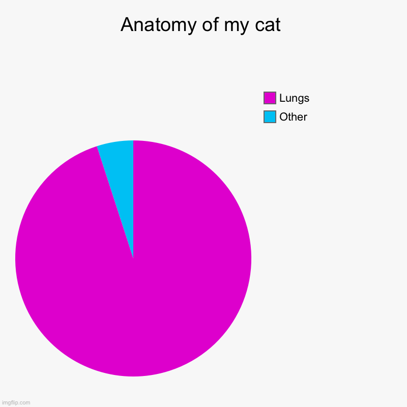 Anatomy of my cat | Other , Lungs | image tagged in charts,pie charts | made w/ Imgflip chart maker