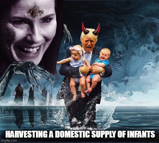 amy coney barrett | HARVESTING A DOMESTIC SUPPLY OF INFANTS | image tagged in amy coney barrett,clown car republicans,qanon cult,abortion,evil,babies | made w/ Imgflip meme maker