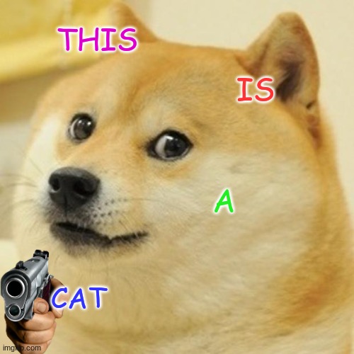 This is cat | THIS; IS; A; CAT | image tagged in memes,doge | made w/ Imgflip meme maker