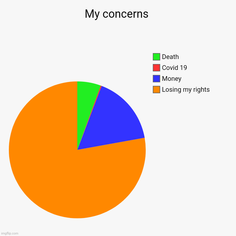 My concerns | Losing my rights, Money, Covid 19, Death | image tagged in charts,pie charts | made w/ Imgflip chart maker