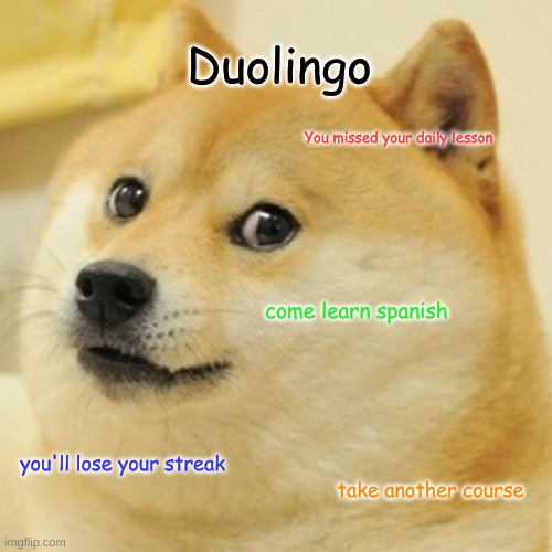 lul | Duolingo; You missed your daily lesson; come learn spanish; you'll lose your streak; take another course | image tagged in memes,doge | made w/ Imgflip meme maker