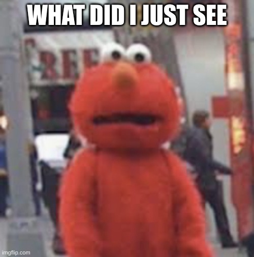 Elmo | WHAT DID I JUST SEE | image tagged in elmo,what did i just see,my eyes,fun,meme template | made w/ Imgflip meme maker